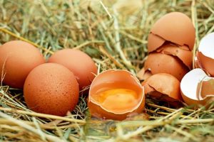 a tojás egészséges, tojás fogyasztása
